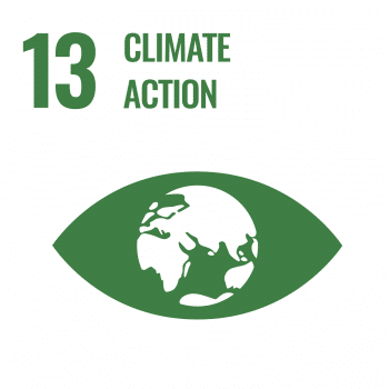 UN SDG Icon for SDG 13: Climate Action