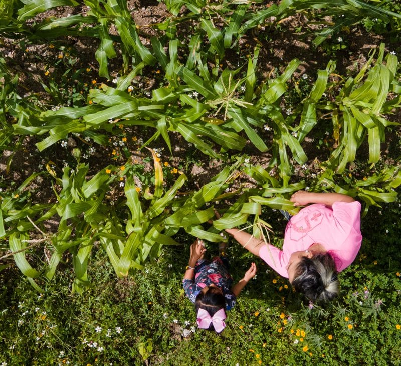 Woman and Girl in Green Field