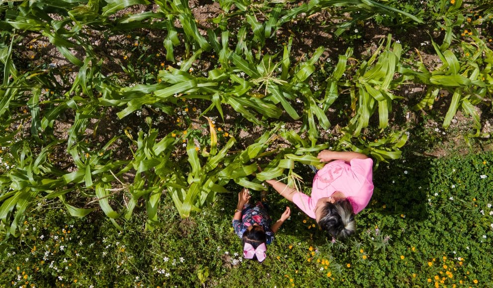 Woman and Girl in Green Field