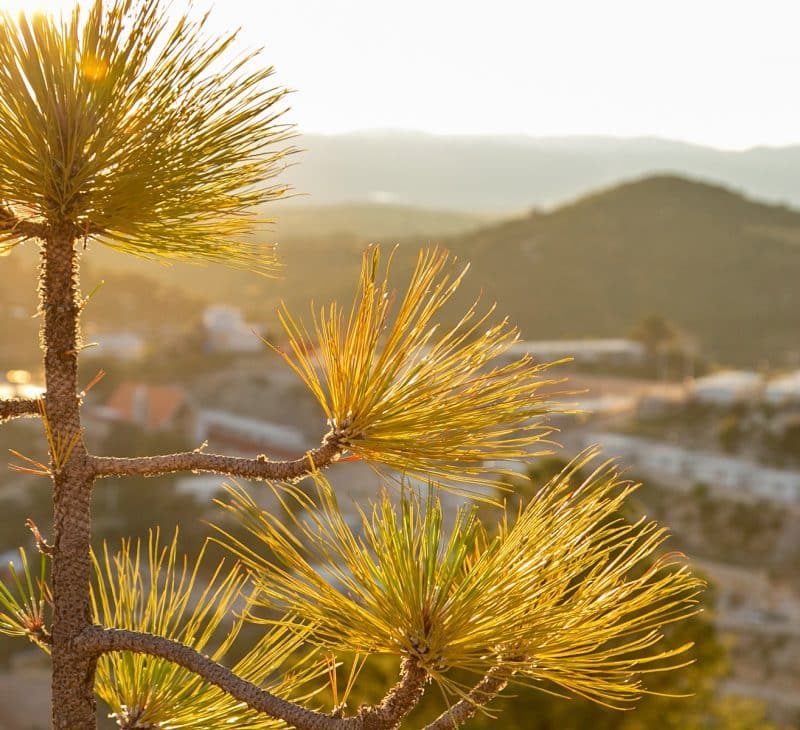 Plant at Dusk in the Foreground with Pan American Silver Mining Operation in the Background