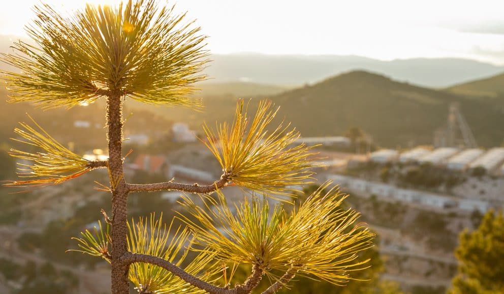 Plant at Dusk in the Foreground with Pan American Silver Mining Operation in the Background