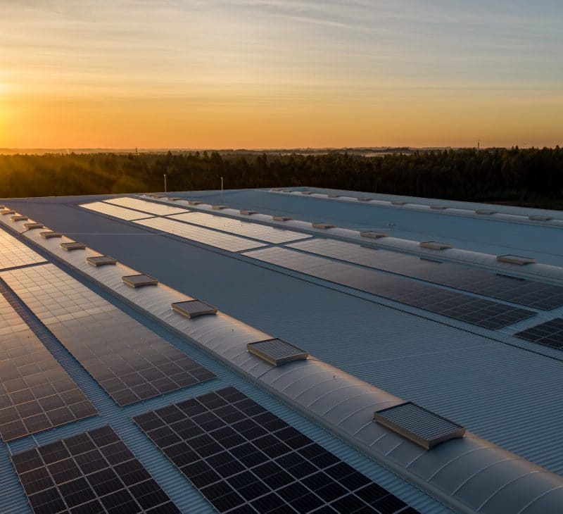 Solar Panels at Dusk