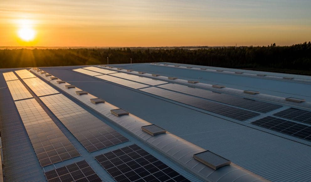 Solar Panels at Dusk