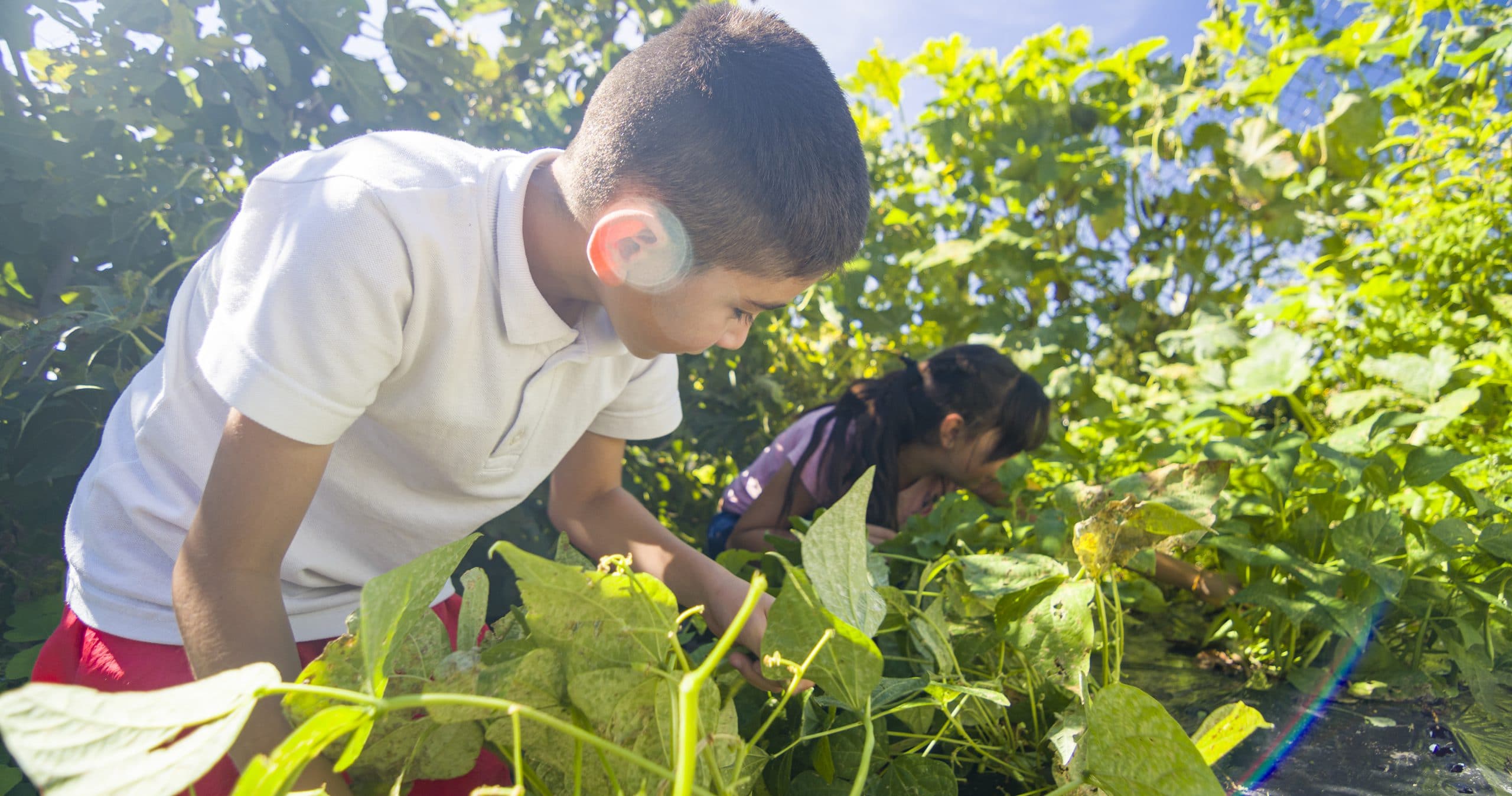 Woman and Boy Working in Greenery