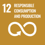 UN SDG Icon for SDG 12: Responsible Consumption and Production