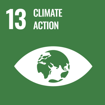 UN SDG Icon for SDG 13: Climate Action