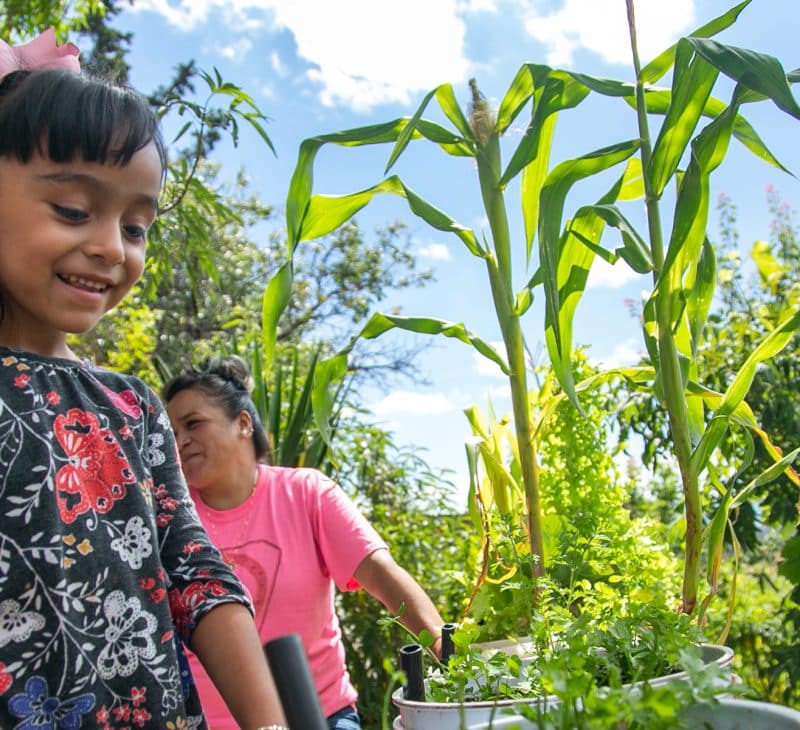 Woman and Girl Working Amongst Greenery