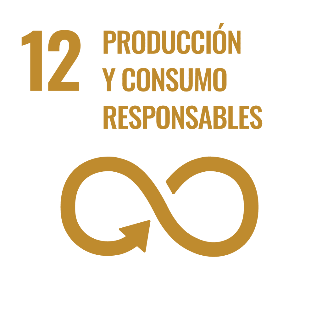 UN SDG Icon for SDG 12: Responsible Consumption and Production